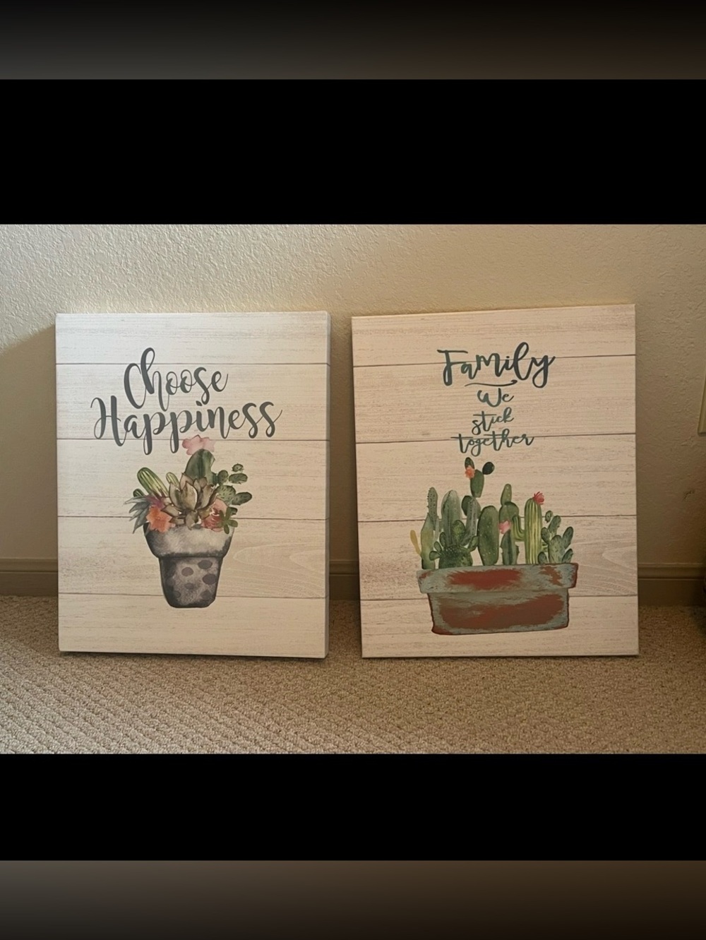 Botanical Succulent & Cactus Wall Art Canvas Pair - Green Accents